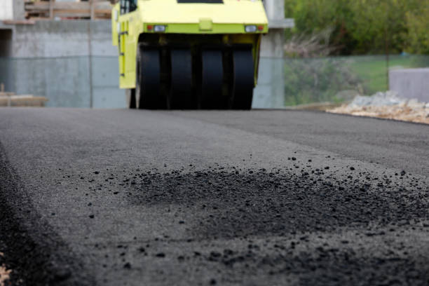 Professional Driveway Pavers in Ricardo, TX